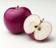 Apfel - Querschnitt